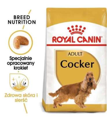 ROYAL CANIN Adult Cocker - dry dog food - 12 kg