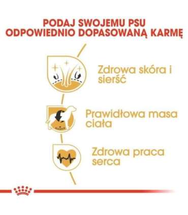 ROYAL CANIN Adult Cocker - dry dog food - 12 kg