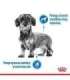 Royal Canin CCN MINI LIGHT WEIGHT CARE - dry food for adult dogs - 3kg