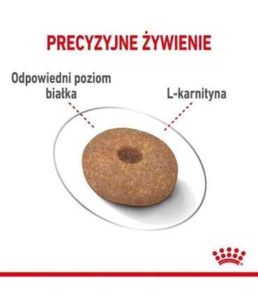 Royal Canin CCN MINI LIGHT WEIGHT CARE - dry food for adult dogs - 3kg