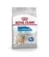 Royal Canin CCN MINI LIGHT WEIGHT CARE - dry food for adult dogs - 3kg