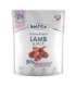 BALTICA Nutraceutic Hypoallergenic M Lamb with rice - dry dog food - 1kg