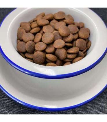 FOLK Medium and large breeds Kashubian-style fish specialty with apples, parsley and lovage - dry dog food - 12kg