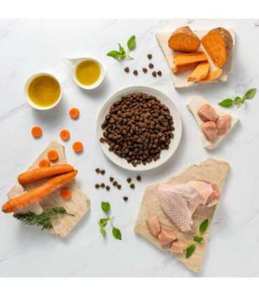 RAW PALEO Ultra Medium&Large Puppy Turkey - dry food for puppies - 2 kg