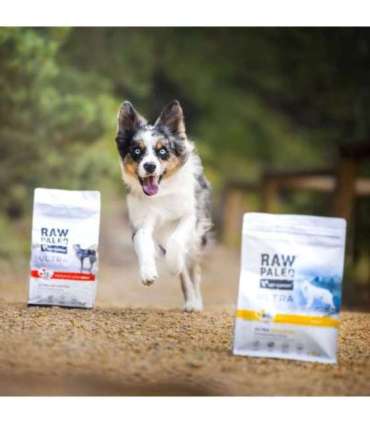 RAW PALEO Ultra Medium&Large Puppy Turkey - dry food for puppies - 2 kg