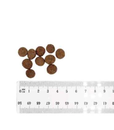 BULT Lamb - dry dog food - 12kg