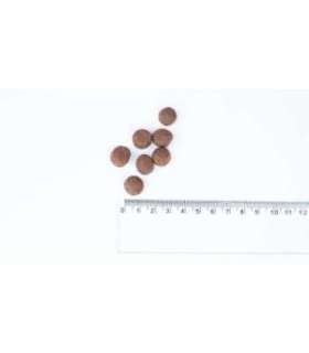 BULT Turkey - dry dog food - 12kg