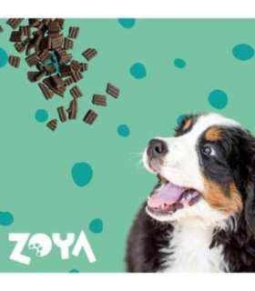 ZOYA ColdPRO Deer - dry dog food - 1kg
