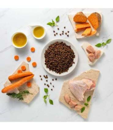 RAW PALEO Ultra Mini Adult Turkey - dry dog ​​food - 2 kg