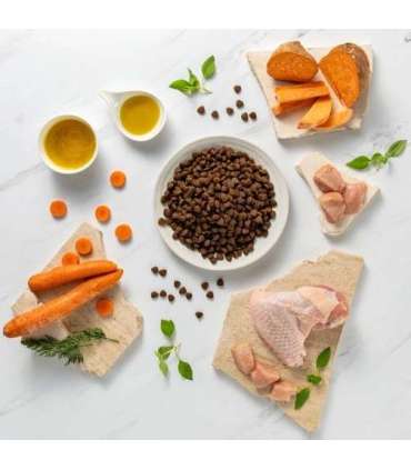 RAW PALEO Ultra Medium&Large Adult Turkey - dry dog ​​food - 2 kg