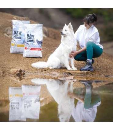 RAW PALEO Ultra Medium&Large Adult Turkey - dry dog ​​food - 2 kg