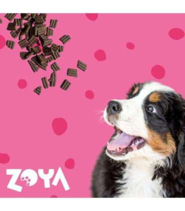ZOYA ColdPRO Beef - dry dog food - 3kg