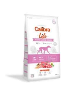 CALIBRA Life Junior Large breed Lamb - dry dog food - 12kg