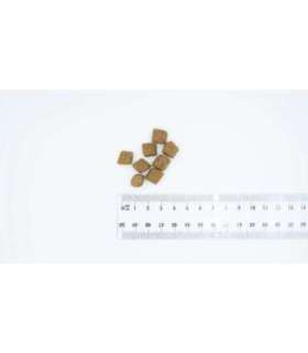 BULT Salmon with trout - dry dog food - 12kg