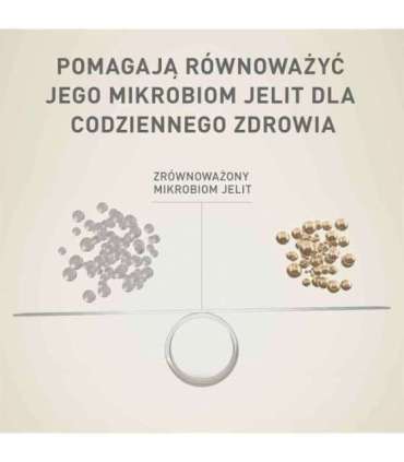 PURINA One Mini/Small Sensitive Salmon, rice - dry dog food - 800 g