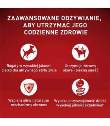 PURINA One Mini/Small Sensitive Salmon, rice - dry dog food - 800 g