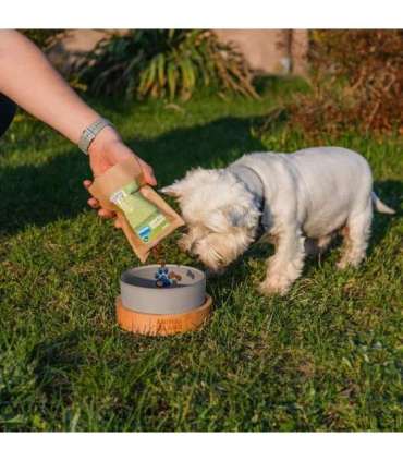 ANIMAL ISLAND Adult Medium Salmon - dry dog food - 12kg