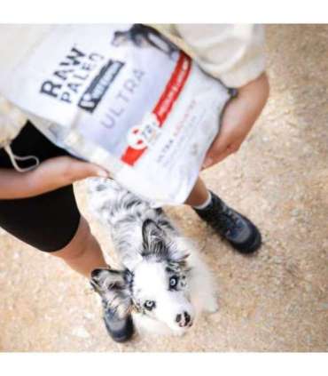 RAW PALEO Ultra Medium&Large Puppy Beef - dry food for puppies - 2 kg