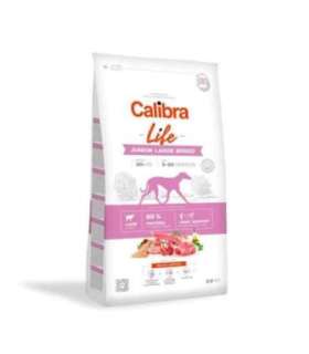 CALIBRA Dog Life Junior Large Breed Lamb - dry dog food - 2,5kg