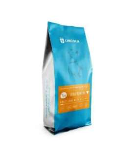 LINCOLN Ultra premium Medium and large Lamb with rice - dry dog food - 12kg