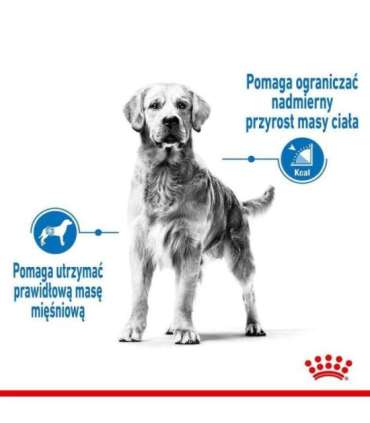 SHN Medium Light Care 3 kg