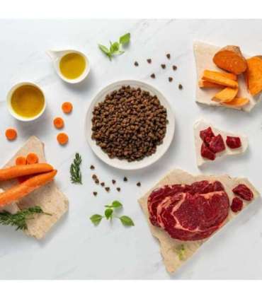 RAW PALEO Ultra Mini Adult Beef - dry dog ​​food - 2 kg