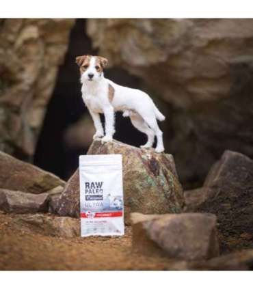 RAW PALEO Ultra Mini Adult Beef - dry dog ​​food - 2 kg
