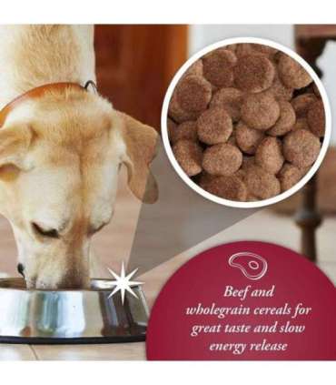 ARKWRIGHT Complete Beef - dry dog food - 15kg