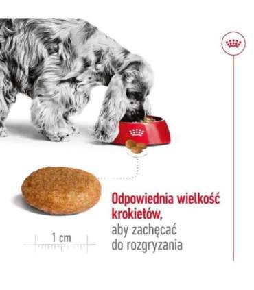 ROYAL CANIN SHN Medium Adult - dry dog food - 15kg