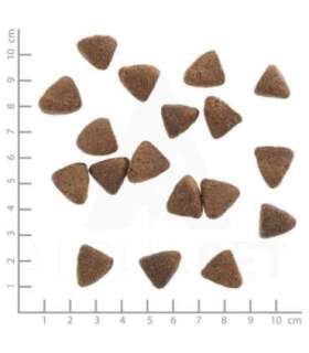 WOLFSBLUT Wide Plain Light Horse with sweet potatoes - dry dog food - 2kg