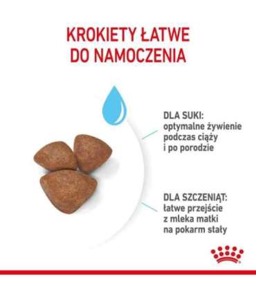 Royal Canin Mini Starter Mother & Babydog Adult Poultry 1 kg