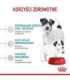 Royal Canin Mini Starter Mother & Babydog Adult Poultry 1 kg