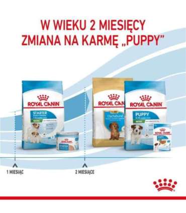 Royal Canin Mini Starter Mother & Babydog Adult Poultry 1 kg