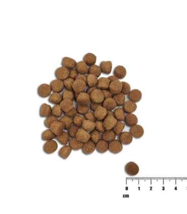 Raw Paleo Healthy Grain Puppy Salmon and barley - dry dog ​​food - 10 kg