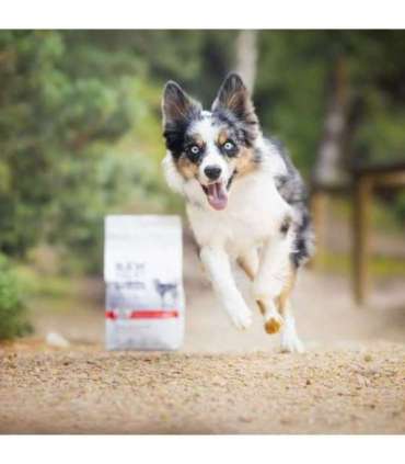 RAW PALEO Ultra Medium&Large Adult Beef - dry dog ​​food - 10 kg