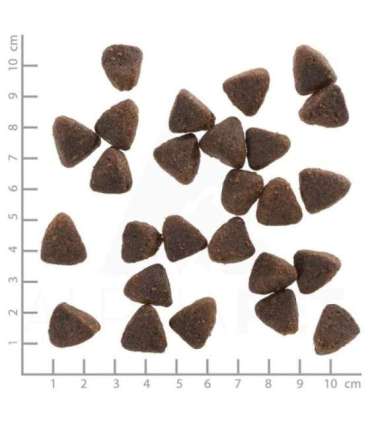 WOLFSBLUT Jack Rabbit - dry dog food - 12,5kg