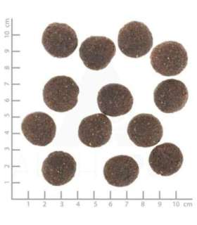 WOLFSBLUT Range Lamb Lamb with rice - dry dog food - 12,5kg