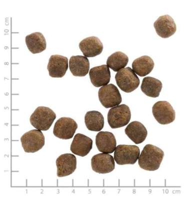 WOLFSBLUT Cold River Trout with sweet potatoes - dry dog food - 12,5kg