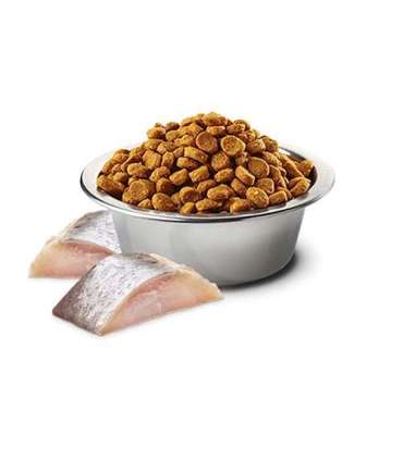 FARMINA N&D Spirulina Herring Adult Med/Maxi - dry dog food - 7 kg