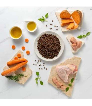 RAW PALEO Ultra Mini Puppy Turkey - dry food for puppies - 2 kg