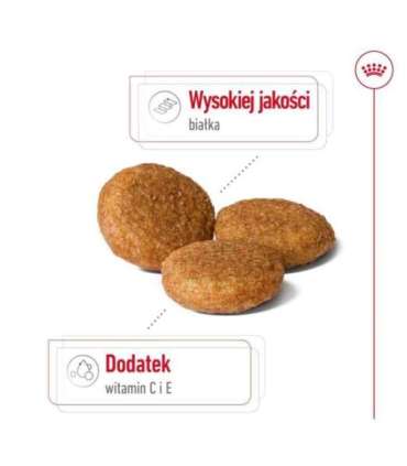 ROYAL CANIN Adult Medium - dry dog food - 4kg