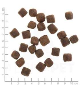 WOLFSBLUT Dark Forest Venison with sweet potatoes - dry dog food - 12,5kg