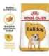 ROYAL CANIN Bulldog Adult - dry dog food - 12 kg