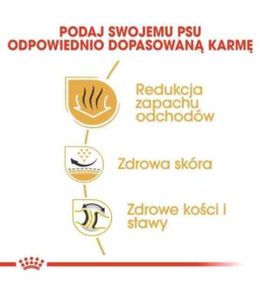 ROYAL CANIN Bulldog Adult - dry dog food - 12 kg