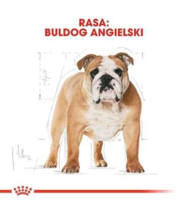 ROYAL CANIN Bulldog Adult - dry dog food - 12 kg
