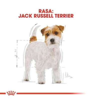 ROYAL CANIN Jack Russell Adult - Dry dog food - 7.5 kg
