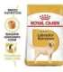ROYAL CANIN Labrador Adult - dry dog food - 12 kg