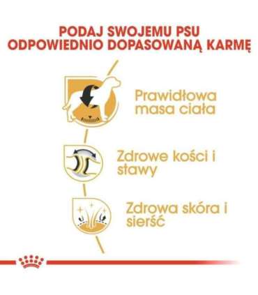 ROYAL CANIN Labrador Adult - dry dog food - 12 kg