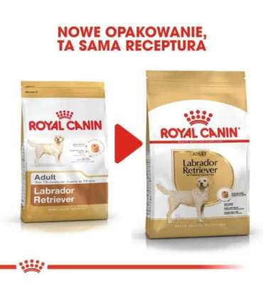 ROYAL CANIN Labrador Adult - dry dog food - 12 kg