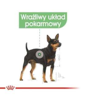 ROYAL CANIN Mini Digestive Care - dry dog food for adult small breeds - 1kg